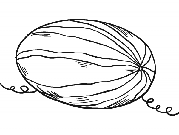 Watermelon coloring page image