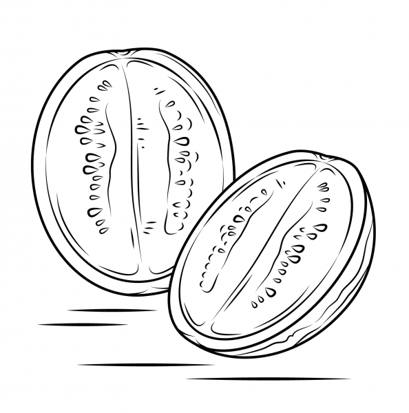 Watermelon cross section coloring page image