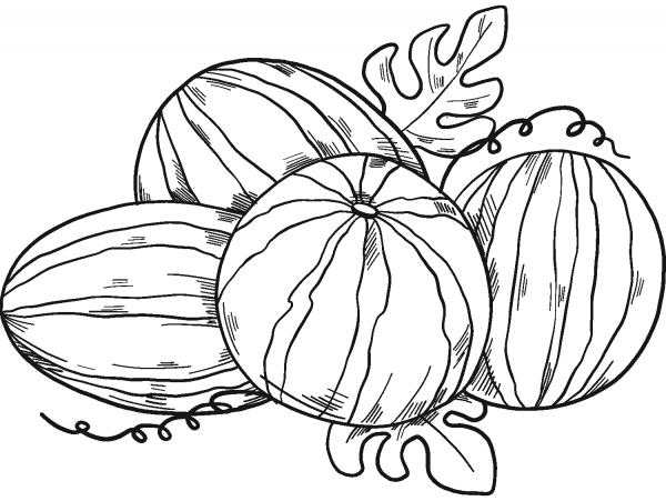 Watermelons coloring page image