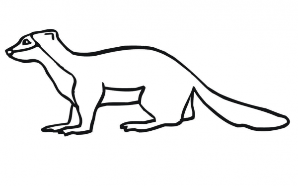 Weasel coloring page image