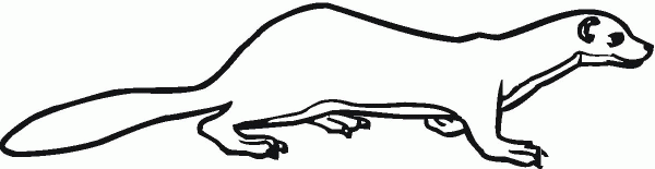 Weasel coloring page image