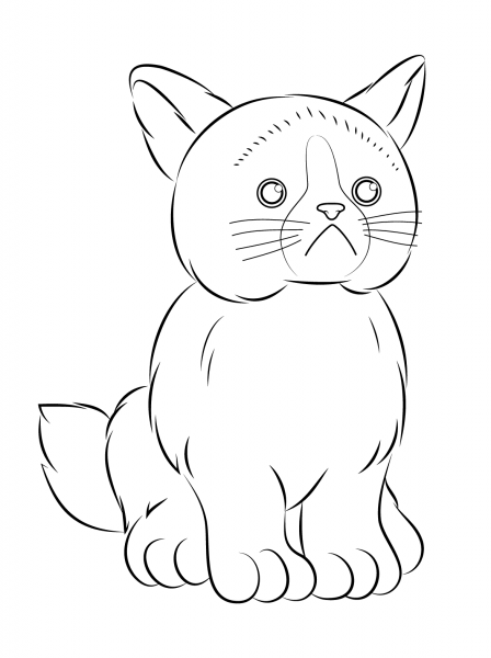 Webkinz Grumpy Cat coloring page image