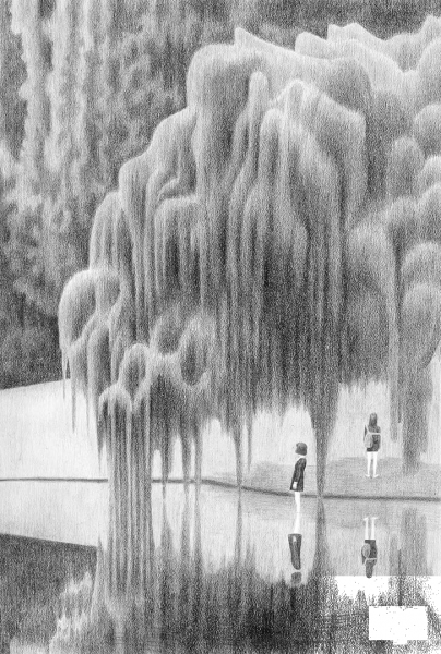 Weeping Willow coloring page image