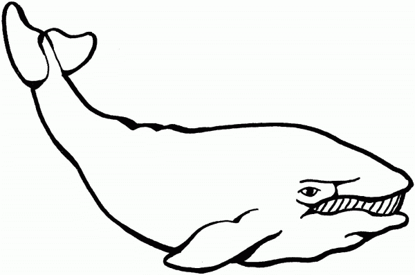 Whale coloring page image
