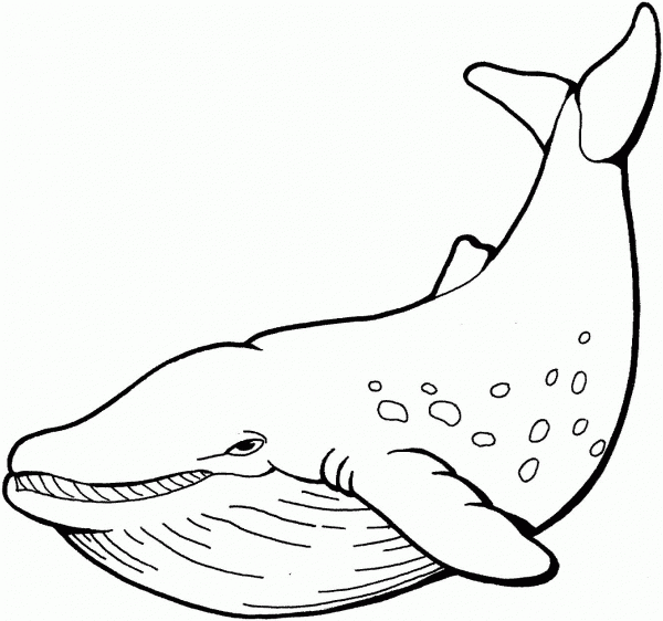 Whale coloring page image