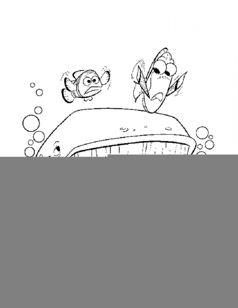 Whale  coloring page image