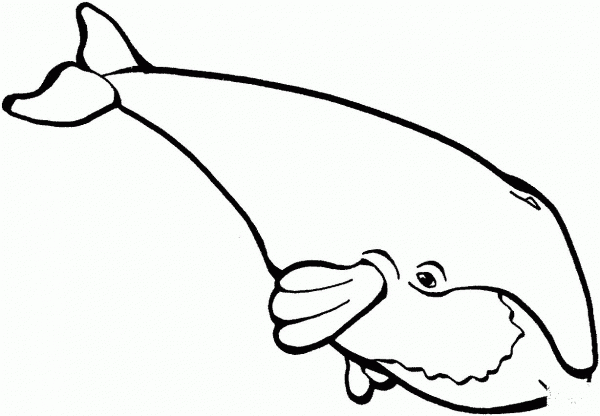Whale coloring page image