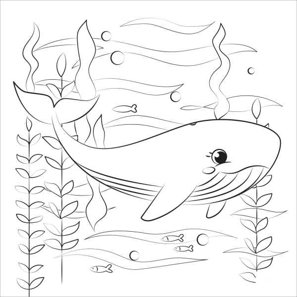 Whale coloring page image