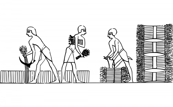 Wheat Binding coloring page image