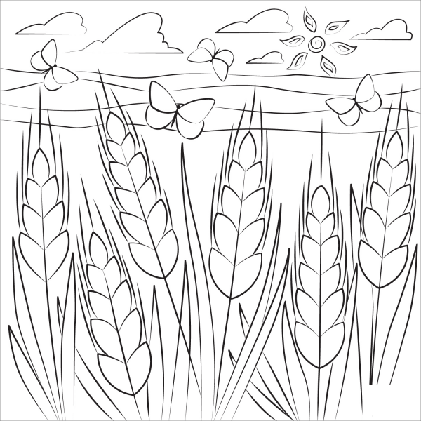 Wheat coloring page image