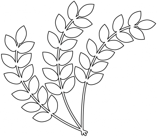 Wheat coloring page image
