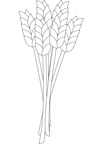 Wheat coloring page image