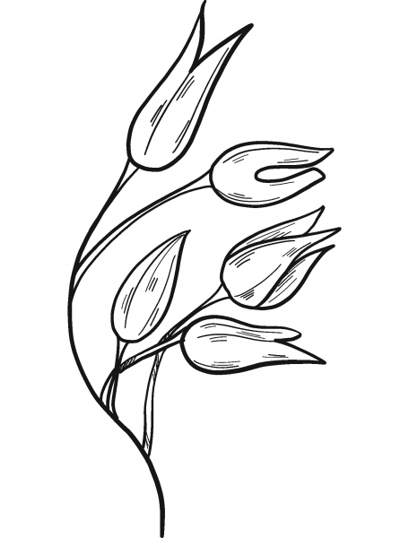 Wheat coloring page image