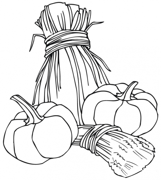 Wheat Sheaves and Pumpkins  coloring page image