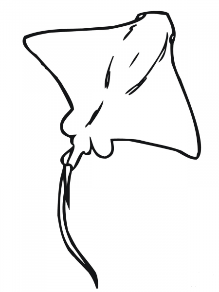 Whiptail Stingray coloring page image