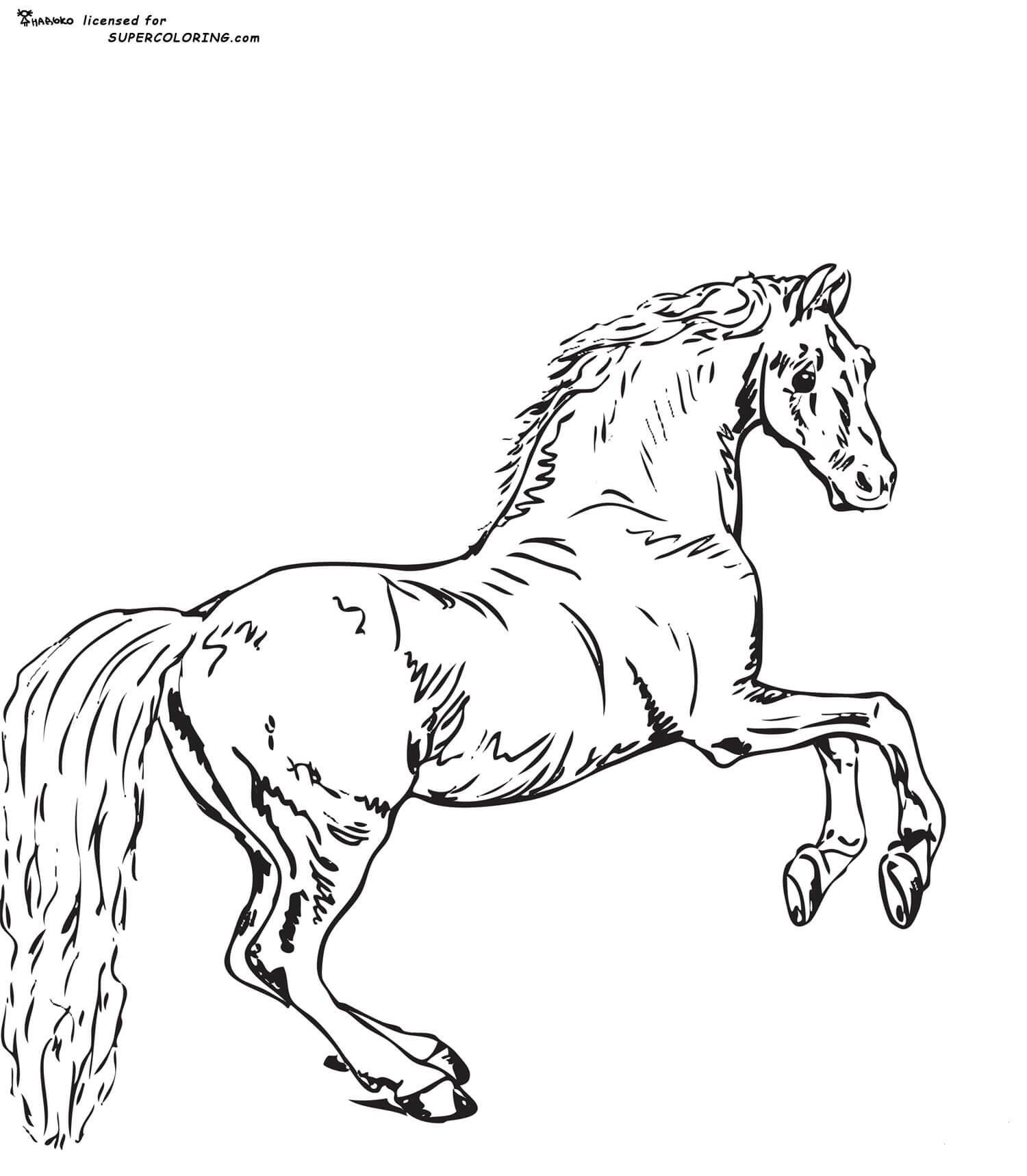 Whistlejacket By George Stubbs coloring page - ColouringPages
