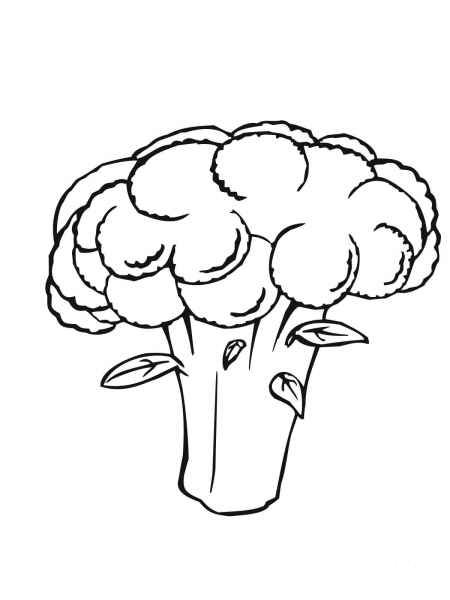 White Cauliflower coloring page image
