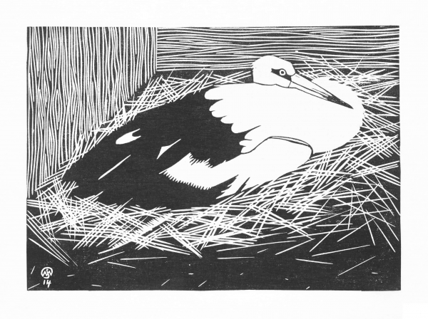 White Maguar Stork coloring page image