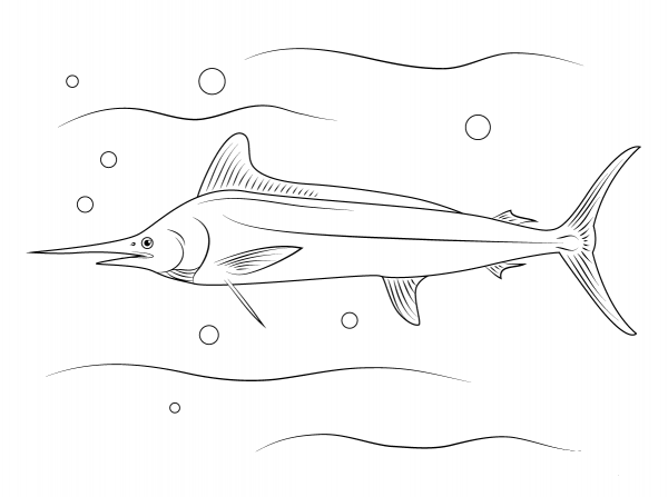 White Marlin coloring page image