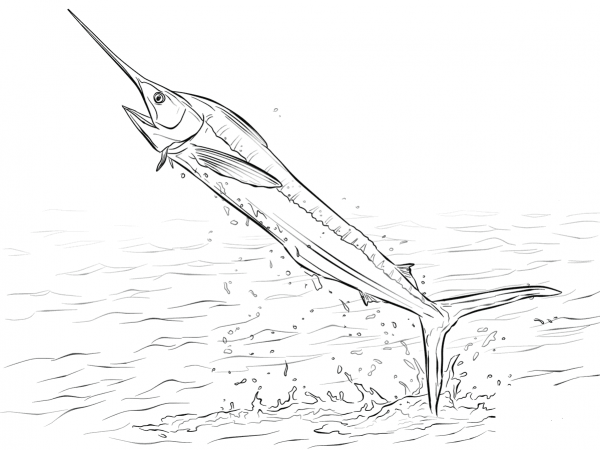 White Marlin Jumping out of Water coloring page image