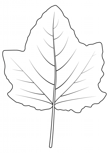 White Poplar Leaf coloring page image