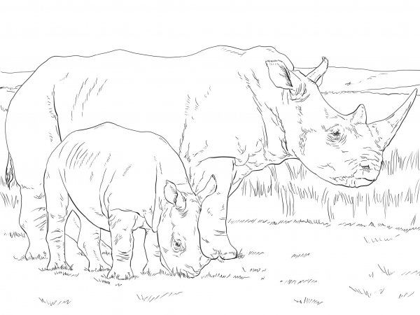 White Rhino Mother and Baby coloring page image