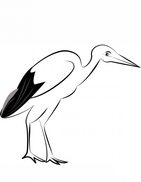 White Stork coloring page image