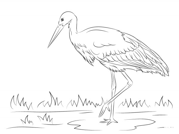 White Stork coloring page image