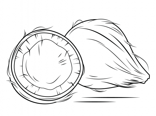 Whole and Cracked Coconut coloring page image
