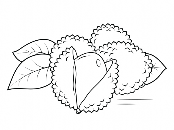 Whole and Open Lechees coloring page image