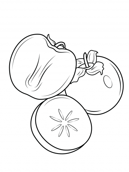Whole and Siliced Persimons coloring page image