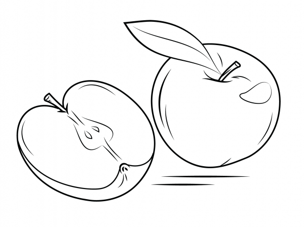 Whole Apple and Cross Section coloring page image