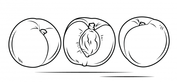 Whole fruites and cross section of a white peach coloring page image