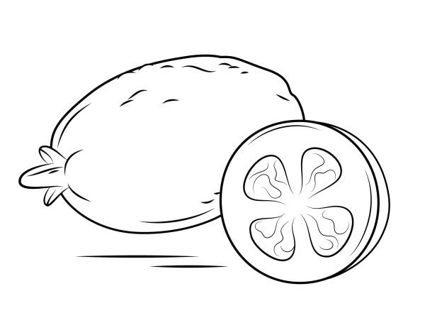 Whole Guava and Cross Section coloring page image