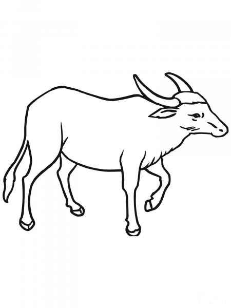 Wild Asian Water Buffalo coloring page image