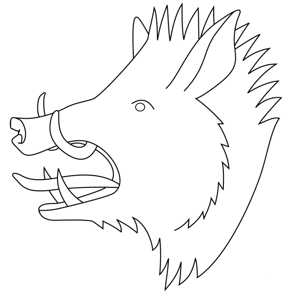 Wild Boar Head coloring page image