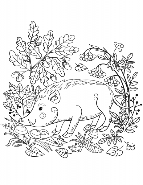 Wild Boar in the Forest coloring page image