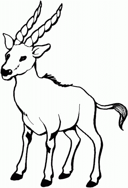 Wild Goat coloring page image