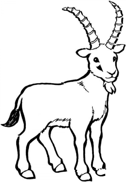 Wild Goat coloring page image