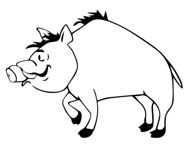 Wild Hog coloring page image