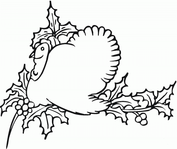 Wild Turkey Nesting coloring page image
