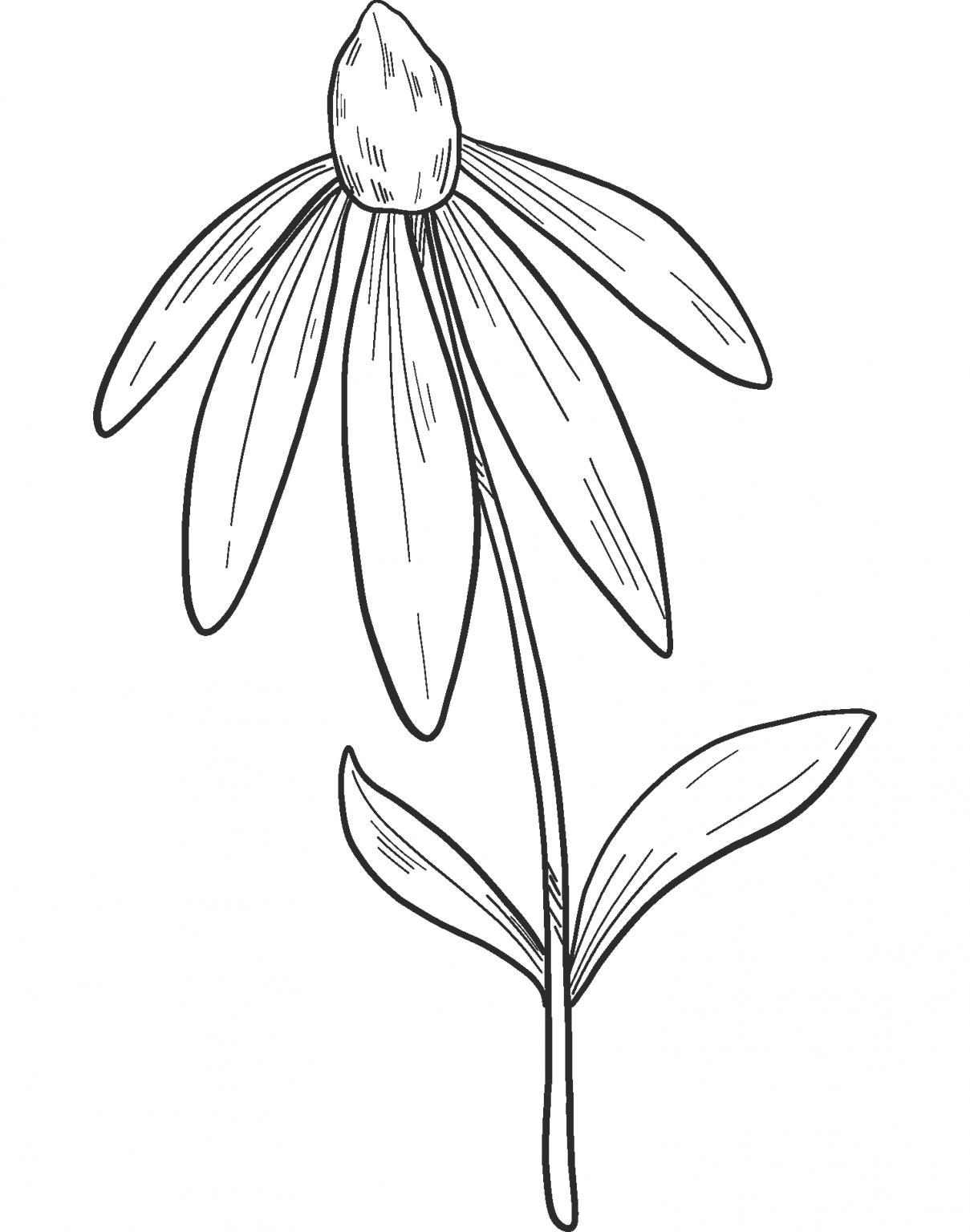 Wildflowers coloring page - ColouringPages