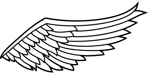 Wing coloring page image