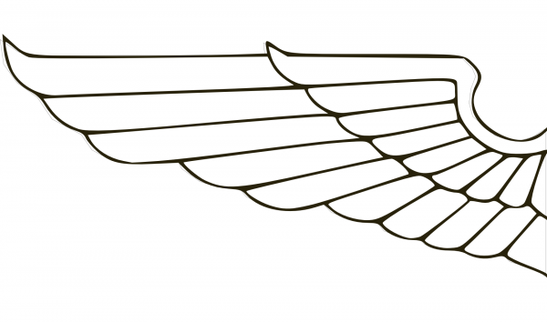 Wing coloring page image