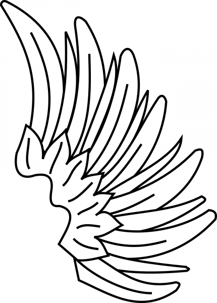 Wing coloring page image