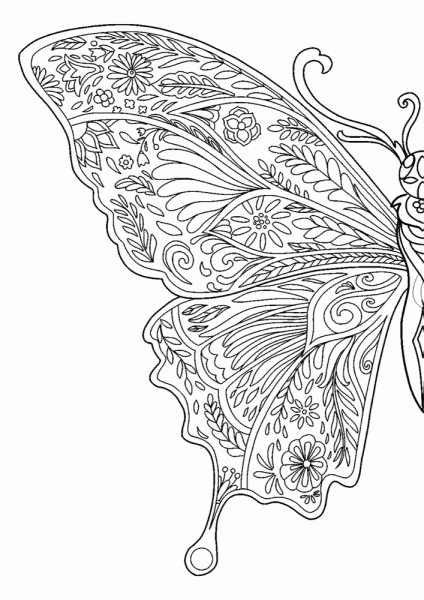 Wings of Freedom Butterfly coloring page image
