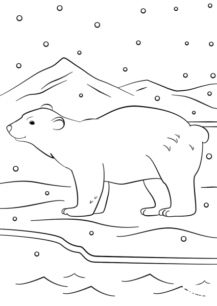 Winter Bear coloring page image