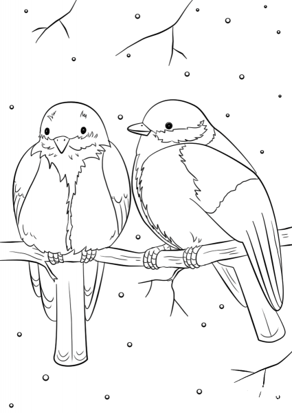 Winter Birds coloring page image