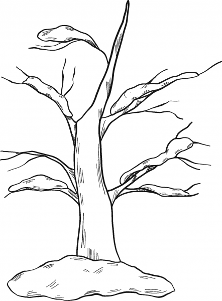 Winter Tree coloring page image