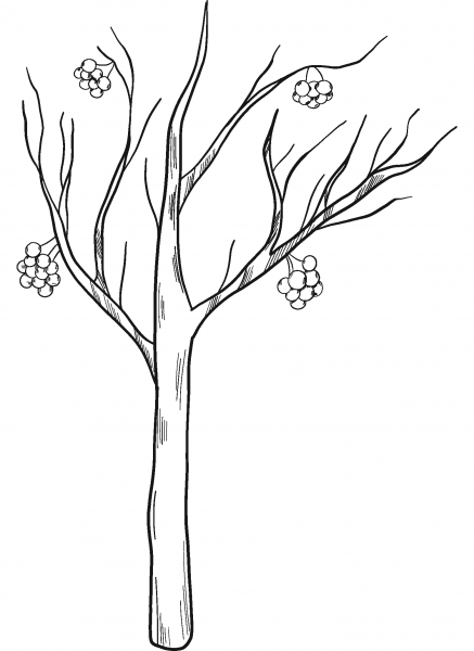 Winter Tree coloring page image
